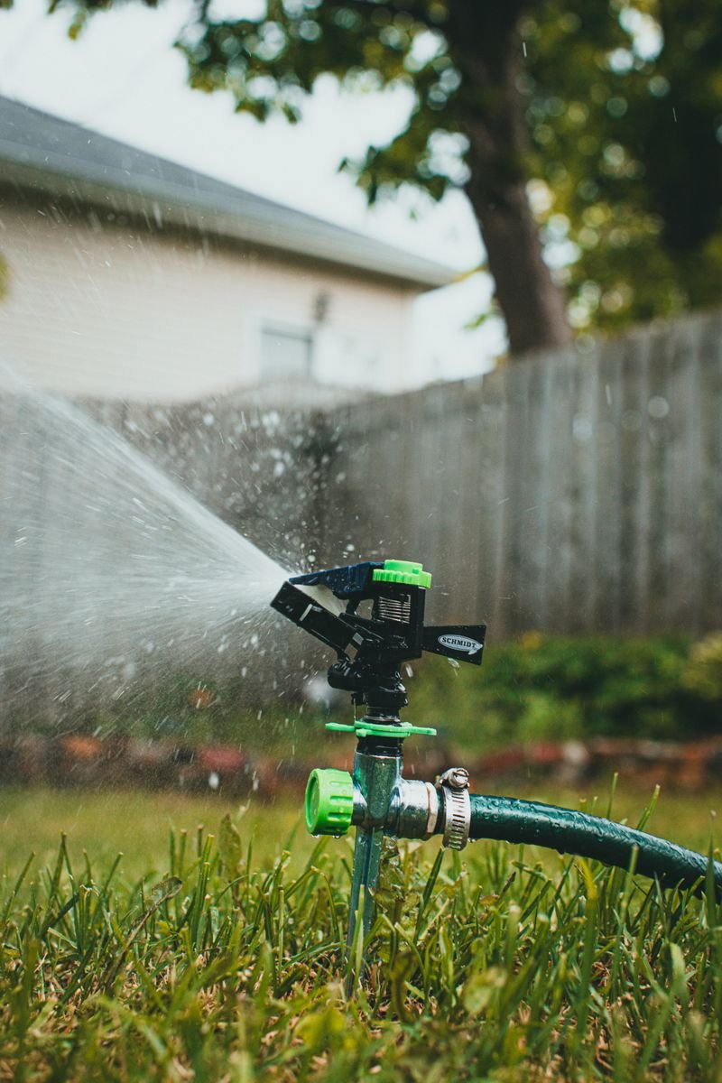 Lawn sprinkler irrigation in Wesley Chapel FL