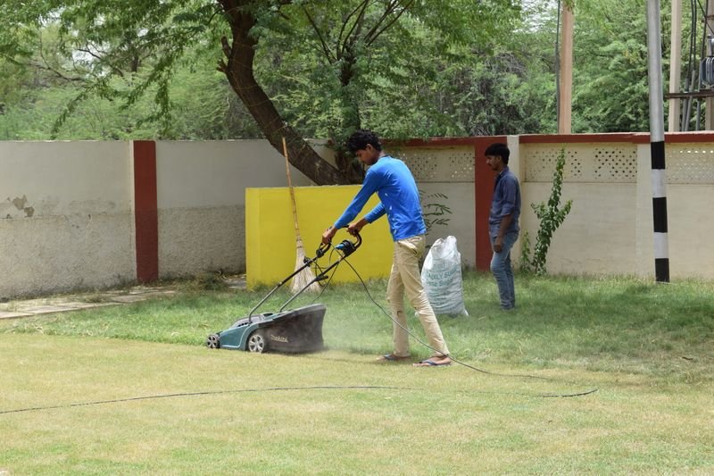 Lawn weed control service in Wesley Chapel FL