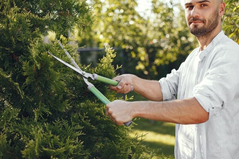 Shrub and hedge trimming in Wesley Chapel FL