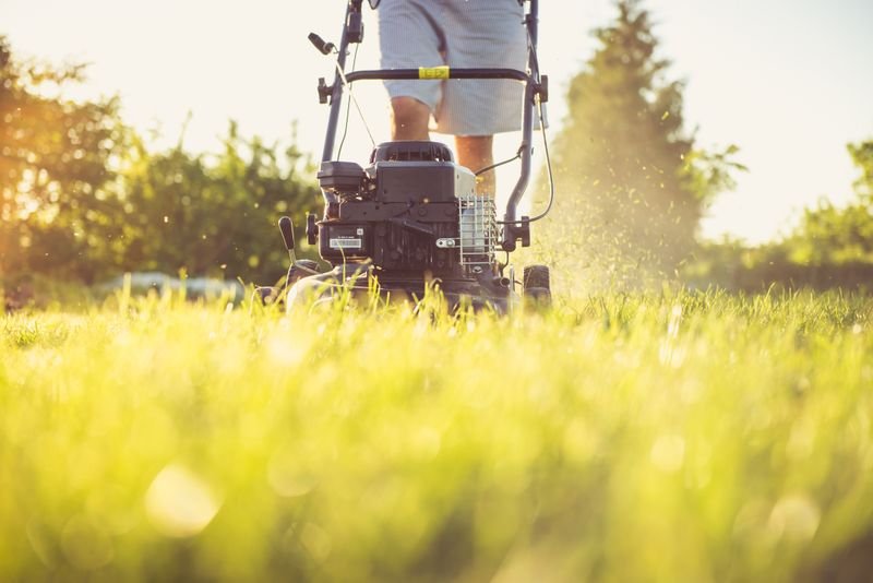 Lawn mowing service in Wesley Chapel FL